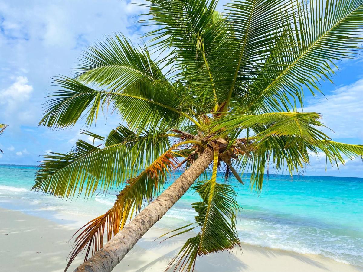Hotel TME Retreats Dhigurah à Dhigurah  Extérieur photo