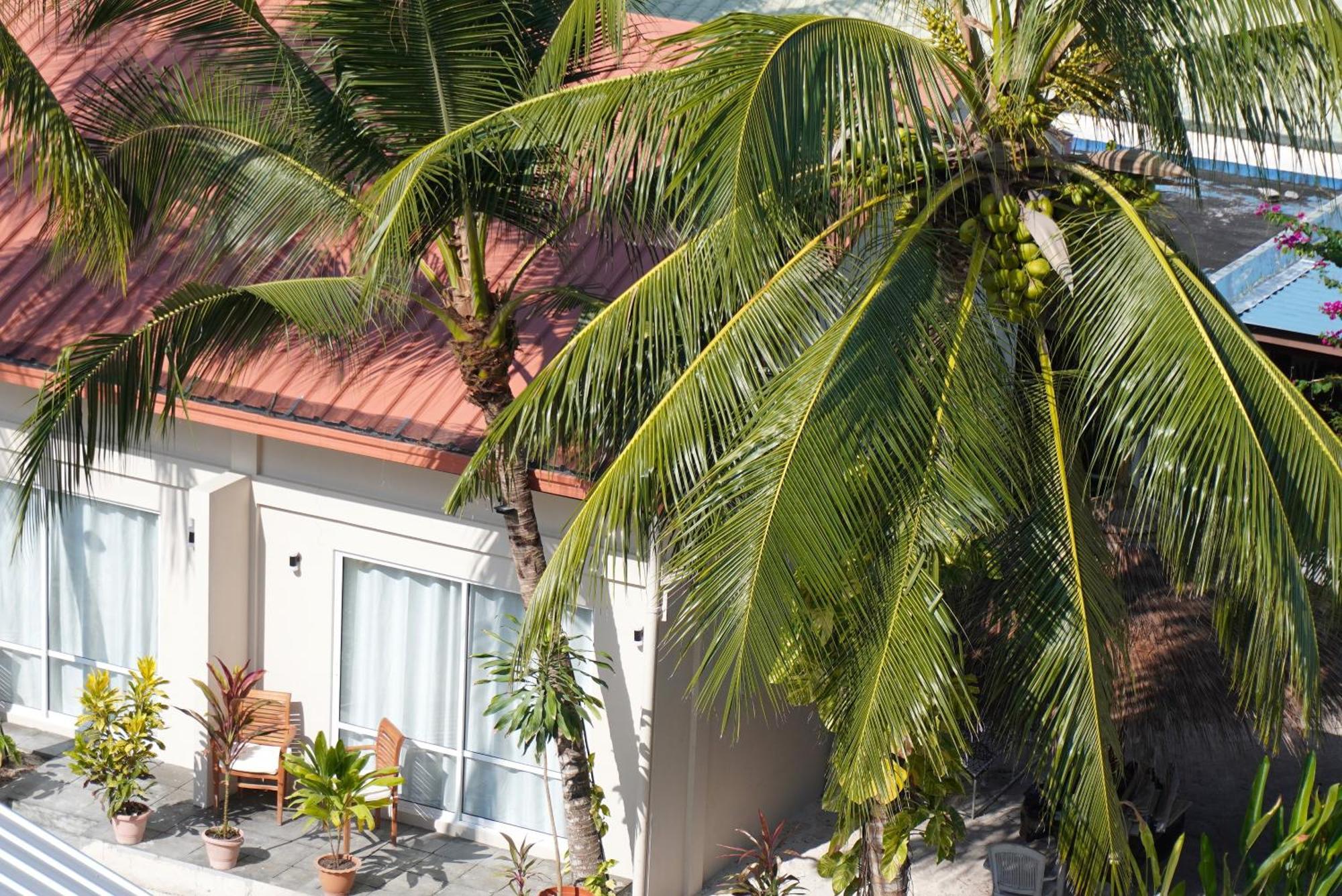 Hotel TME Retreats Dhigurah à Dhigurah  Extérieur photo